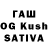 Псилоцибиновые грибы Cubensis Raynard Soegandha