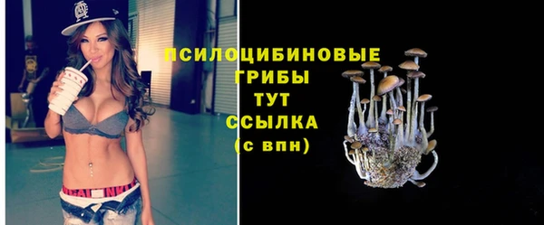2c-b Карпинск
