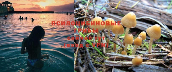 прущая мука Карталы