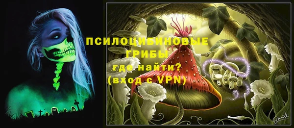 прущая мука Карталы