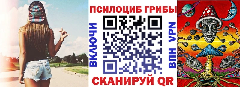 Купить закладки  Знаменск  Псилоцибиновые грибы Cubensis 