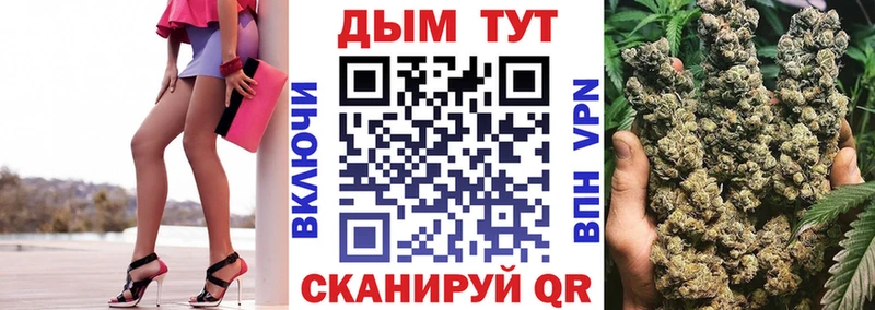 Купить закладки  Знаменск  Бошки марихуана AK-47 
